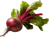 Organic Beets with Greens