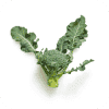 Taylor Farms Broccoli Florets Vegetables